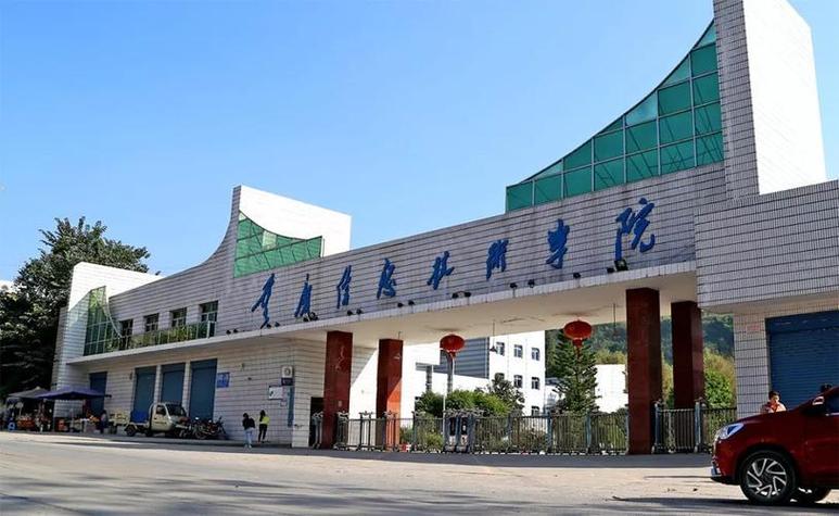 乘風破浪的智慧先鋒 重慶信息技術咨詢服務發展觀察